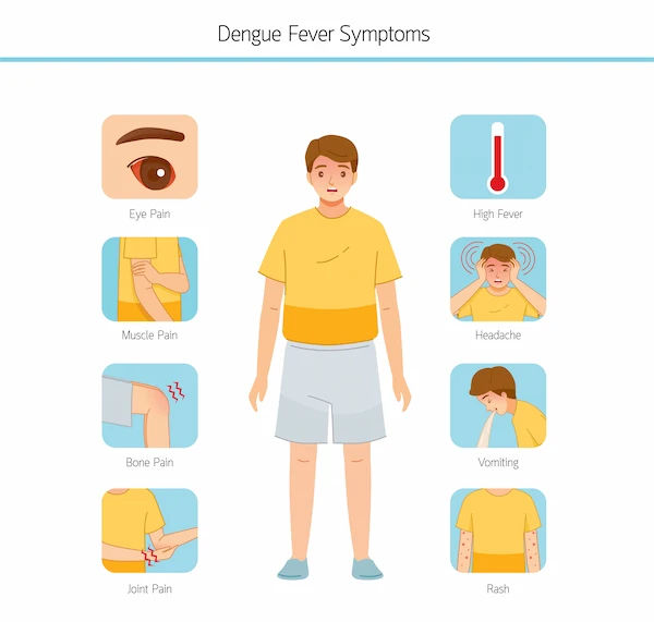 symptoms dengue fever