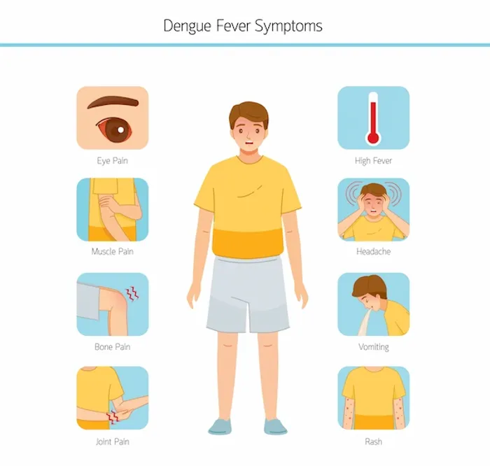 symptoms dengue fever