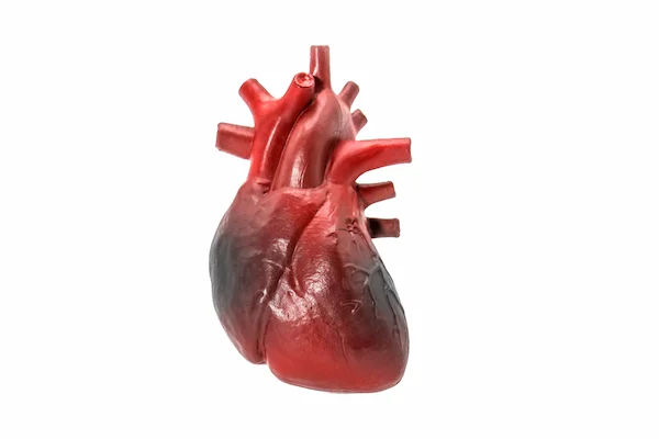 Preventing Heart Attacks: Key Strategies