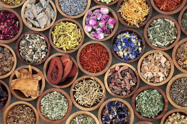 Benefits of Eladi Gutika