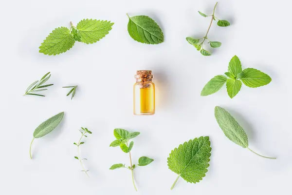 Shatpushpa Benefits
