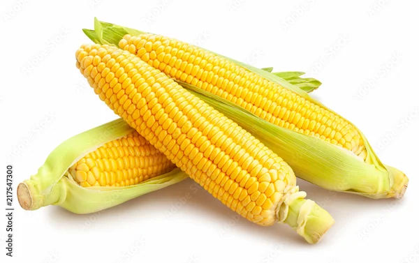 Benefits of Corn