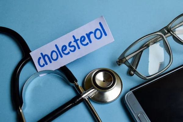 Foods That Increase Cholesterol Levels
