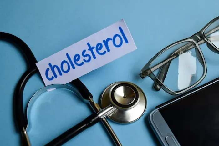 Foods That Increase Cholesterol Levels