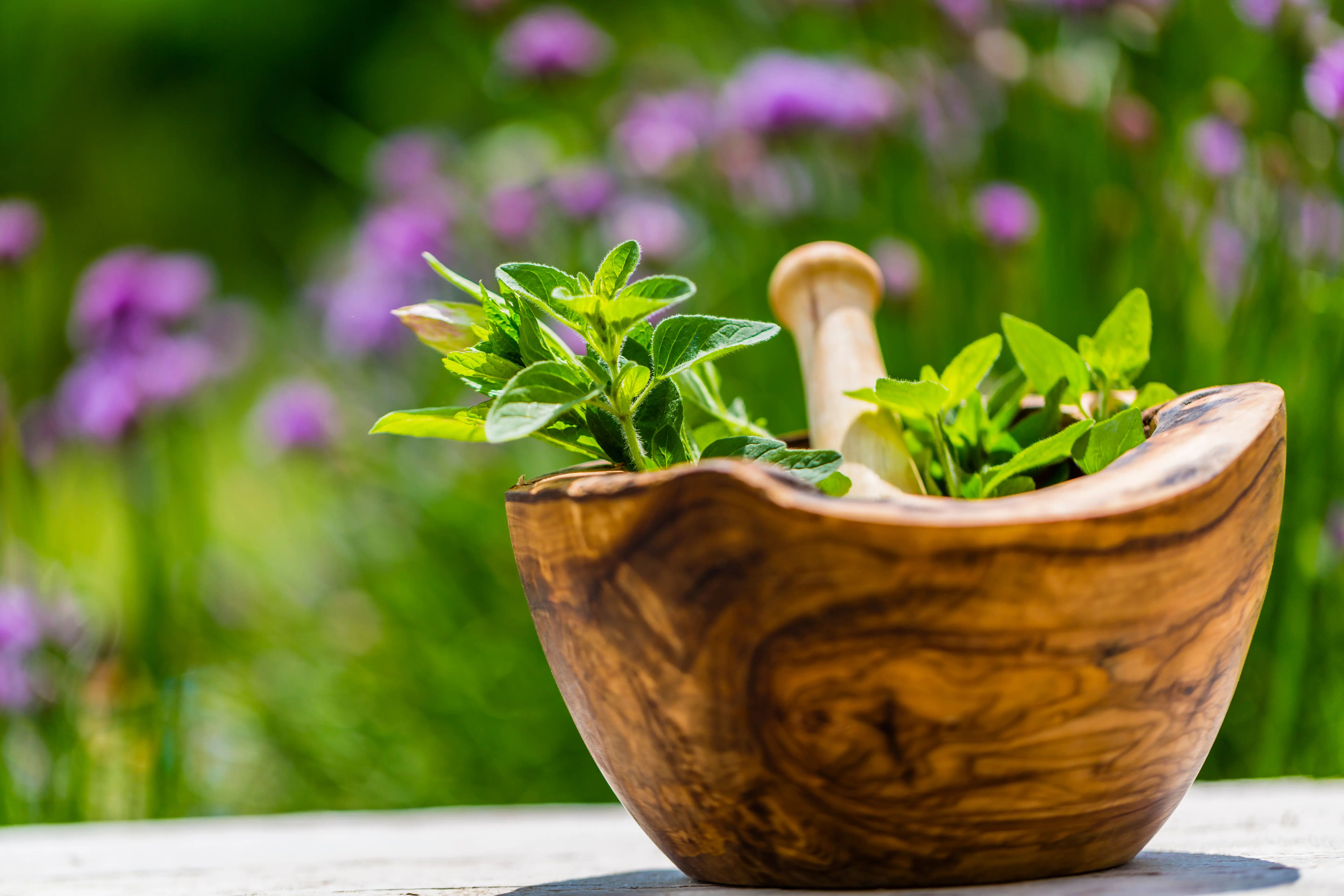 Benefits of Shakarkand