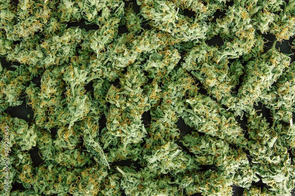Kush Benefits