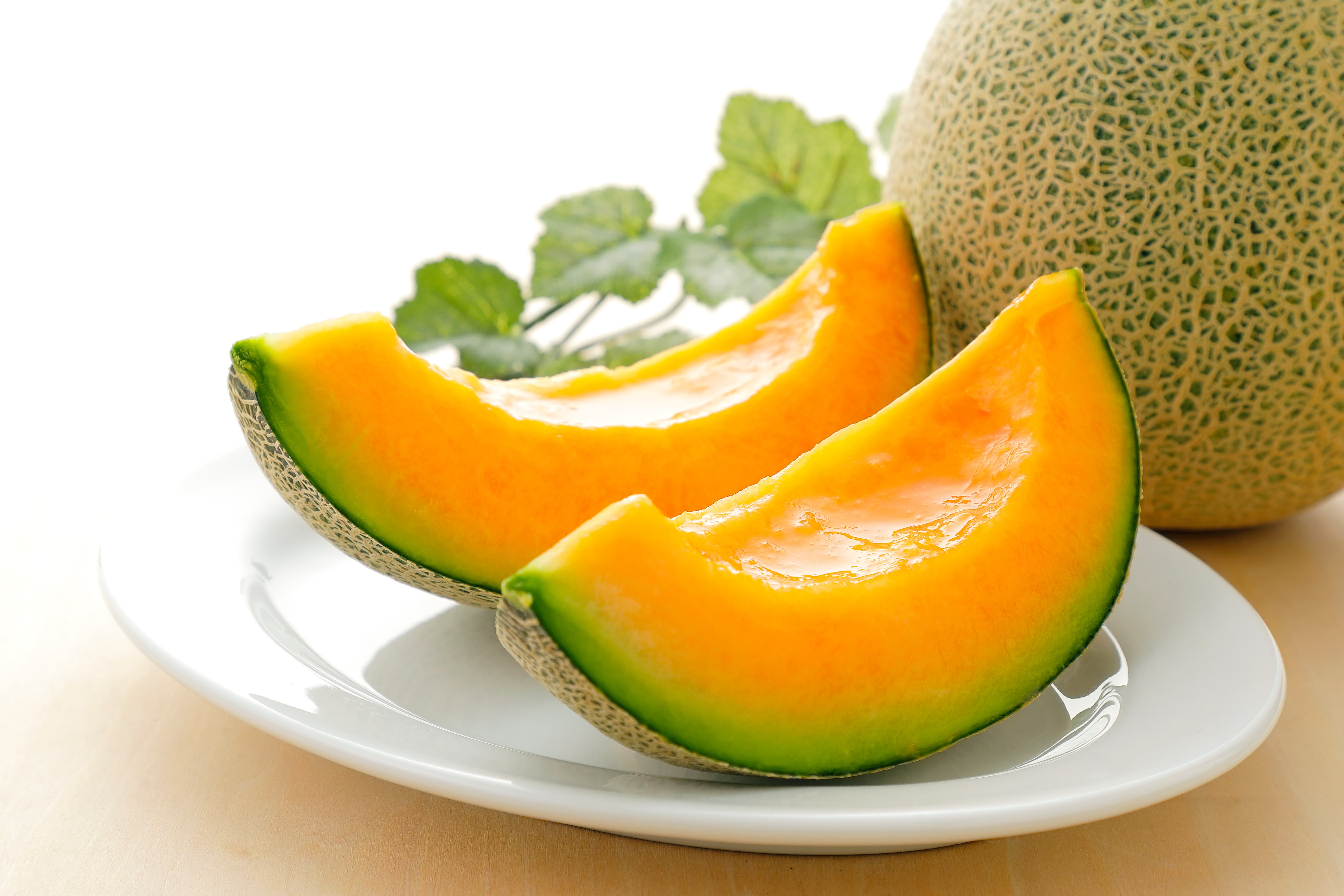 musk melon