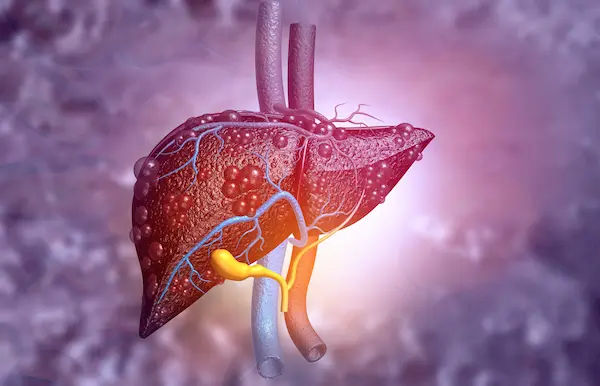 Liver Grow After