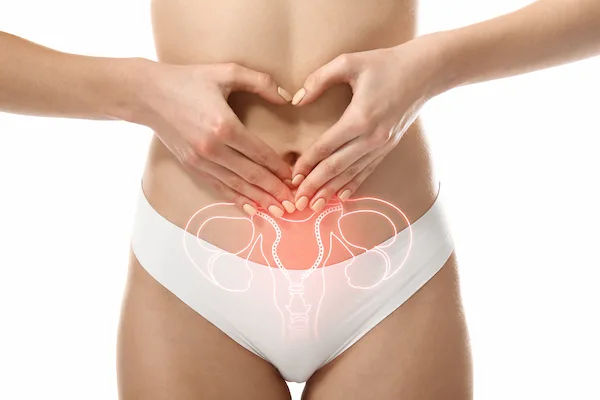 Where Are The Ovaries Attached After Hysterectomy?