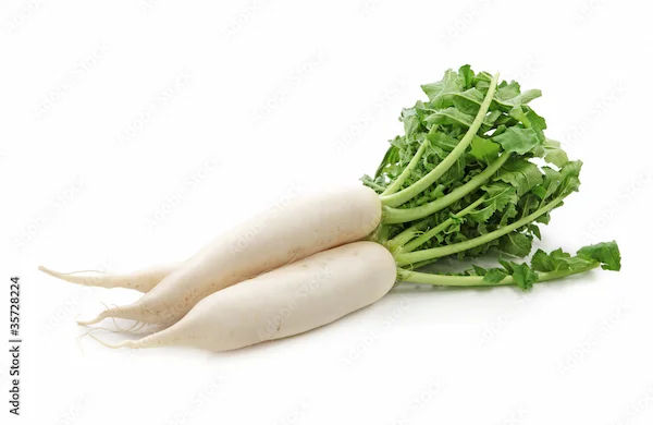 Muli Benefits Radish