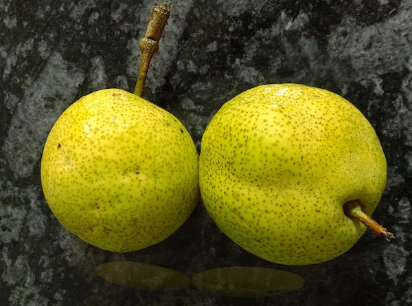 Nashpati