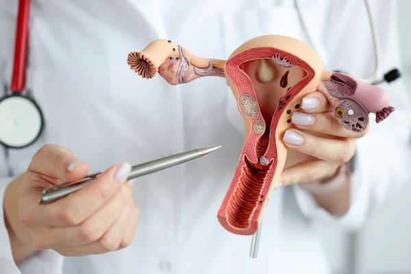 How To Increase Uterus Size?