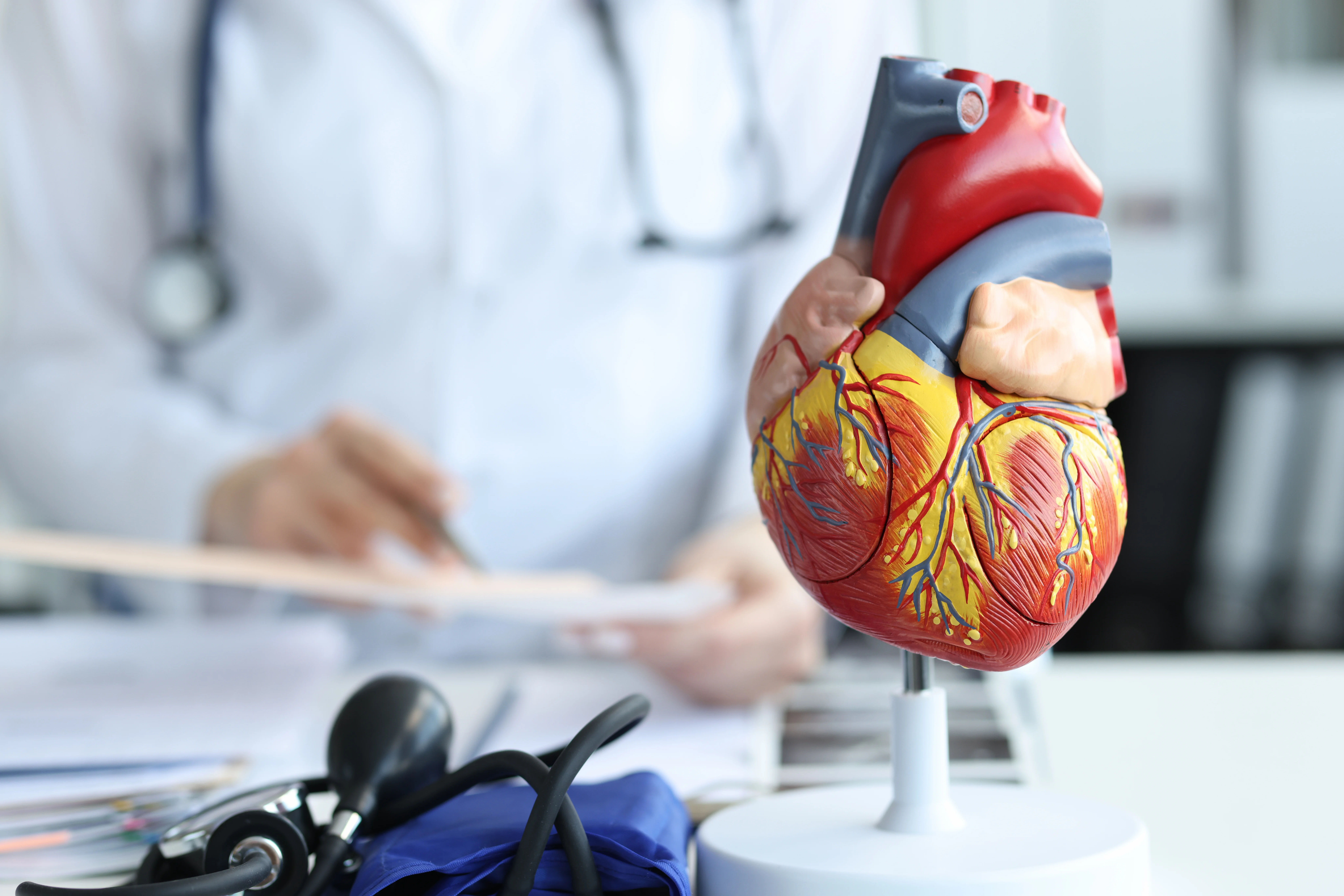 Questions To Ask Cardiologist After Bypass Surgery