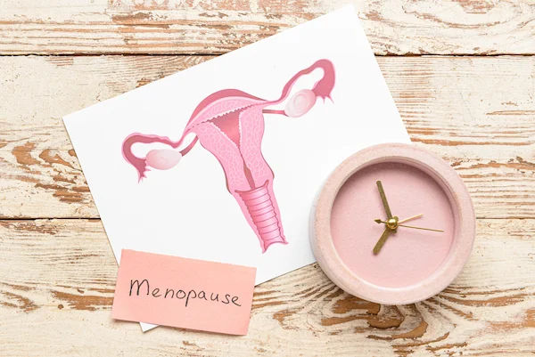Hysterectomy And Oophorectomy After Menopause