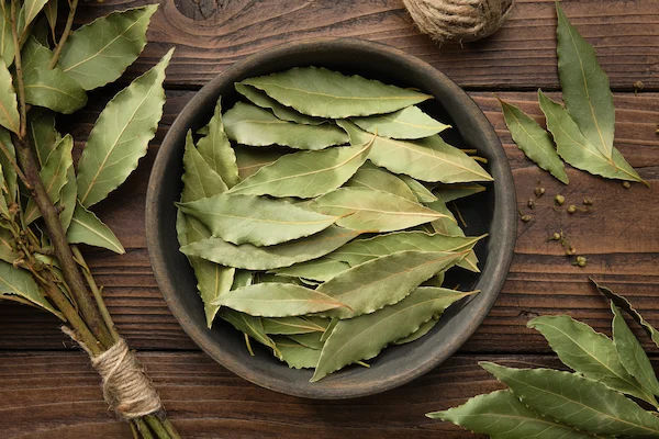 Indian Bay Leaf