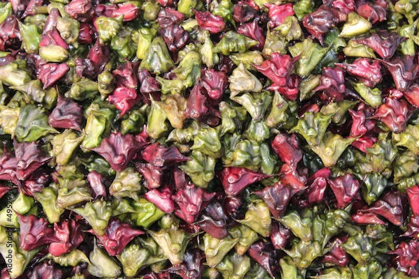 Singhada Benefits