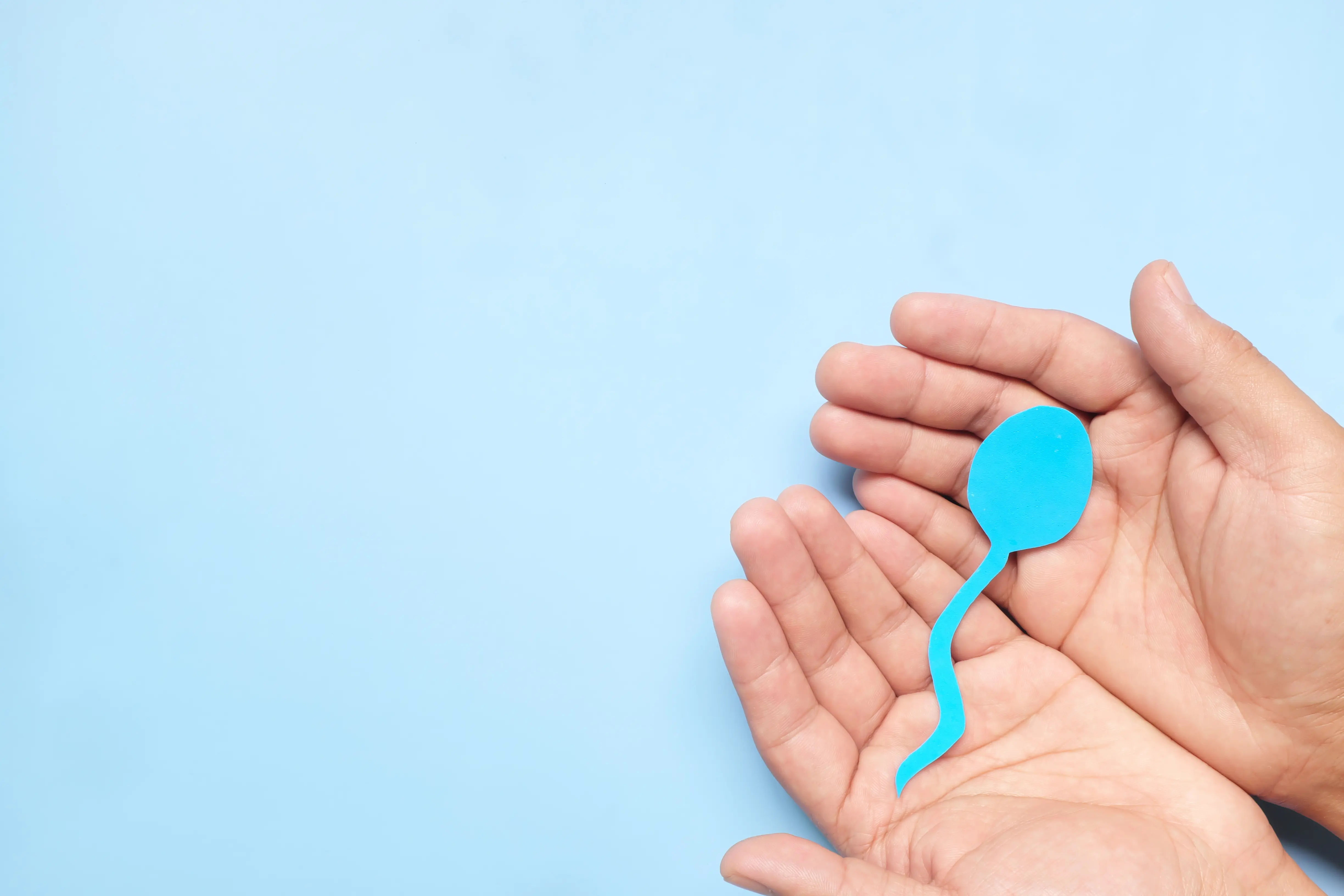 Increase Sperm Count By Food