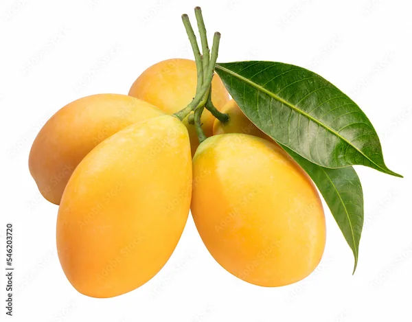 Benefits of Mameera