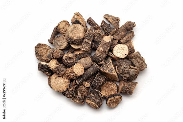 Musli Kali Musli Benefits