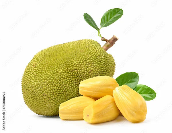 Jackfruit Flour Benefits For Diabetes Management