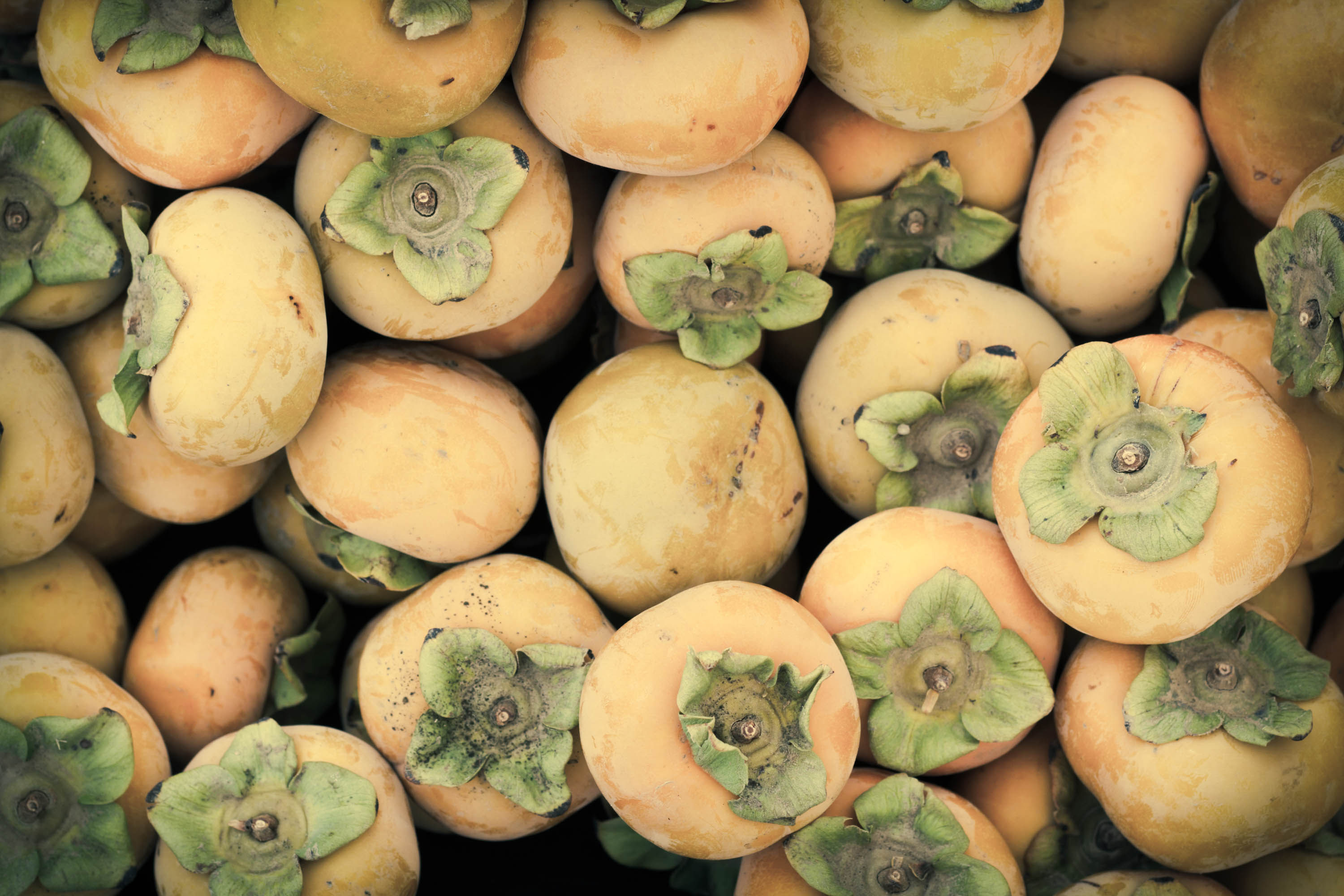 Benefits Of Persimmon