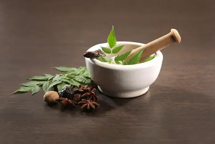 Punarnava Benefits