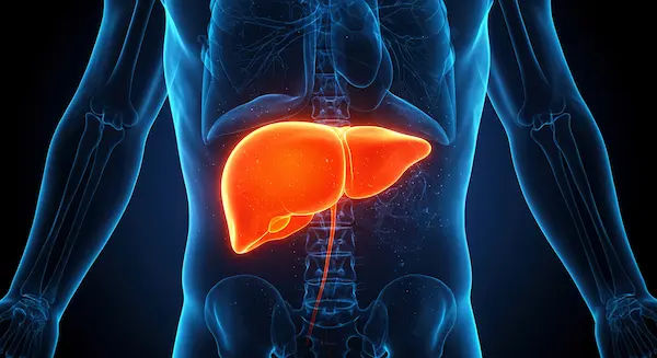 Liver Diseases