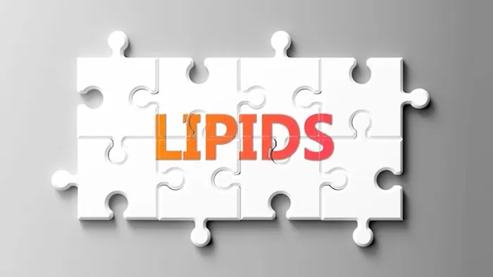 lipids