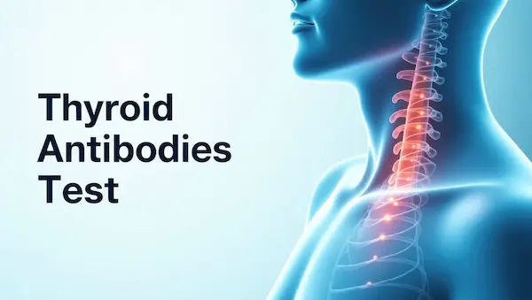 Thyroid Antibodies Tests