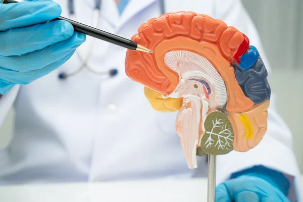 Brain Tumours: Important Information to Consider