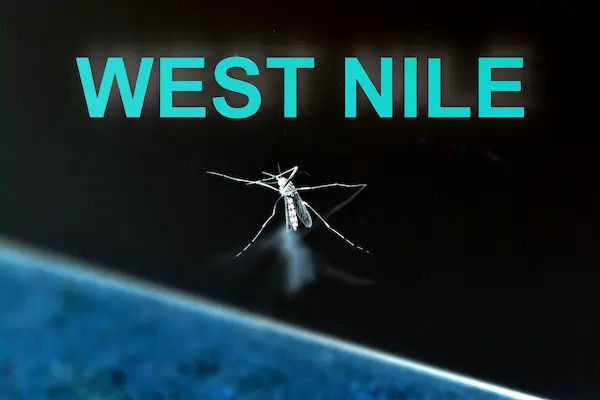West Nile Virus