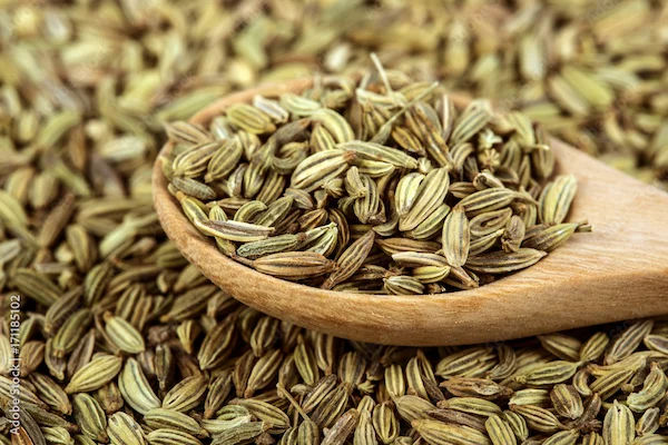 Fennel Seeds: Uses and Health Benefits