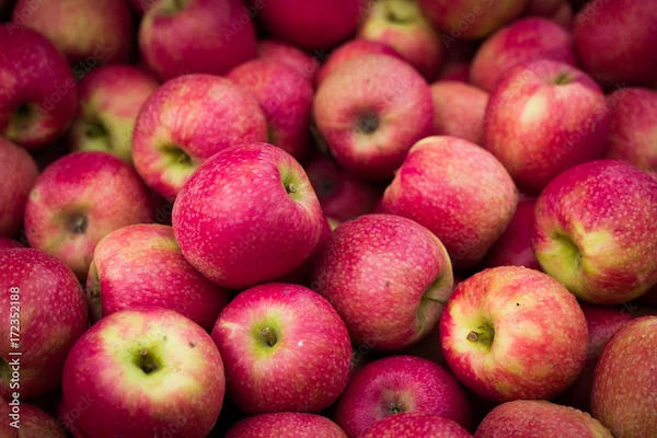 Health benefits and nutrition of apples