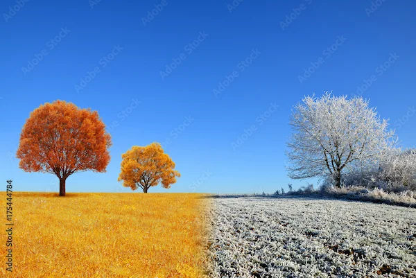 Seasonal Change Health Tips to Consider