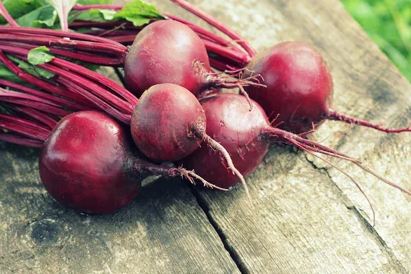 beetroot