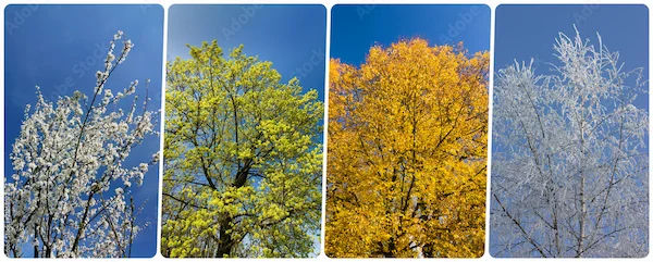 Changing Seasons and Possible Causes of Discomfort