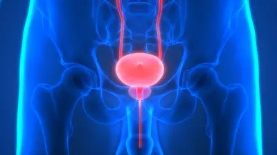 The Role of Free PSA in Diagnosing Prostate Problems