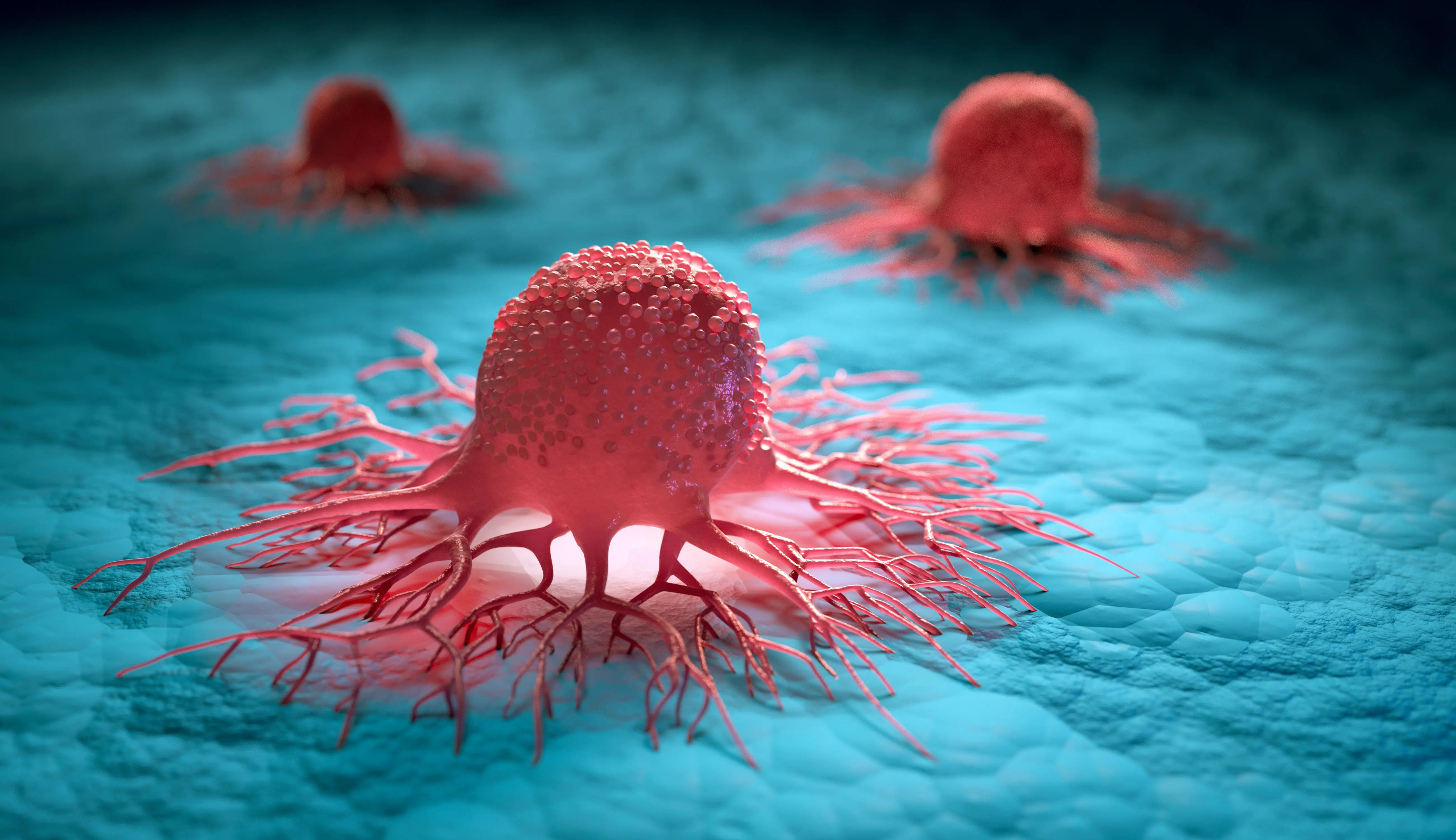 Top 5 Cancer Screenings