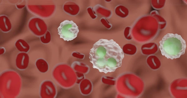 Red Blood Cells