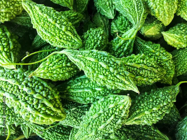 Bitter Gourd Nutrition and Uses