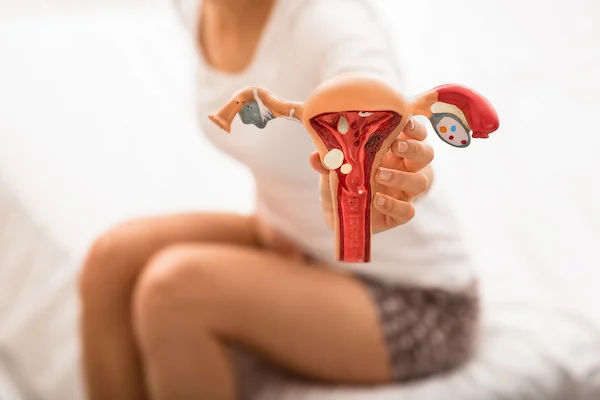 Adenomyosis Symptoms, Causes, Diagnosis and Treatment