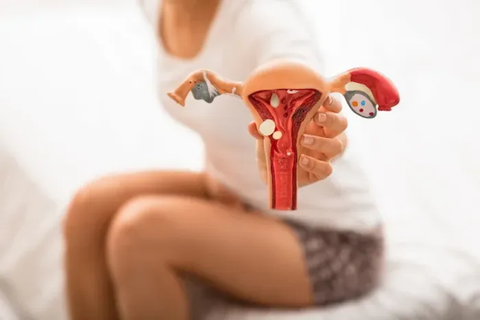 Adenomyosis Symptoms, Causes, Diagnosis and Treatment