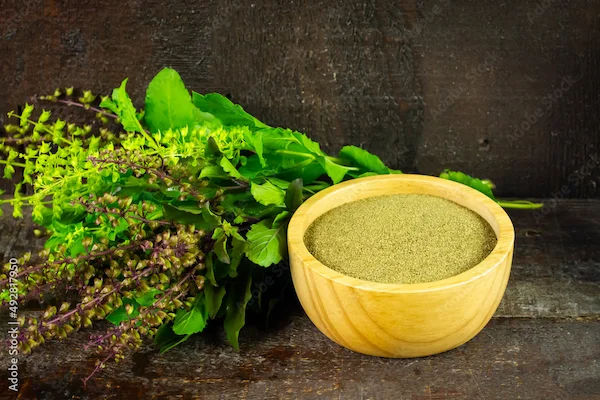 Tulsi (Basil) Nutritional Value and Uses