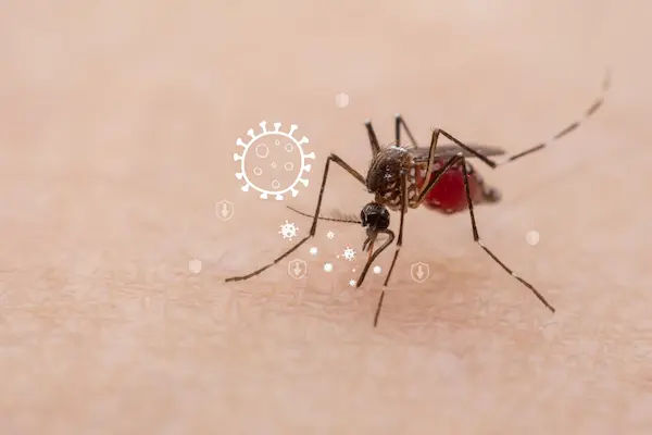 Malaria