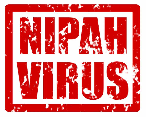 nipah virus