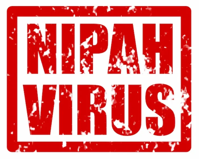 nipah virus