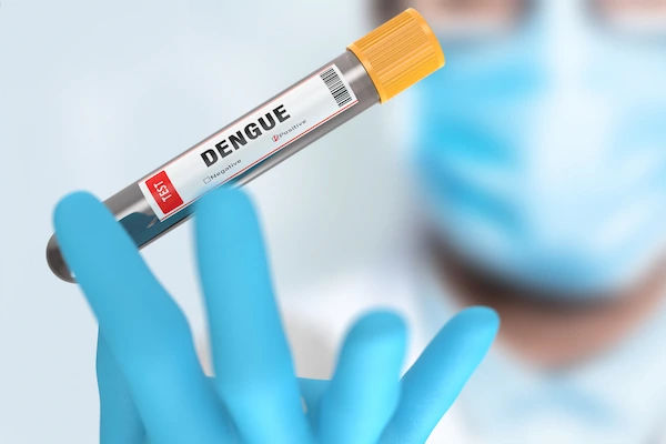 dengue