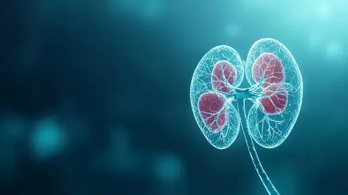 Kidney Biopsy Procedure