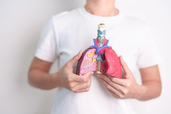 lung