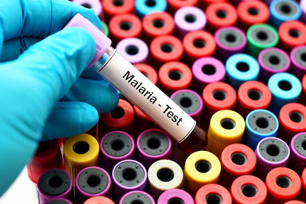 Malaria